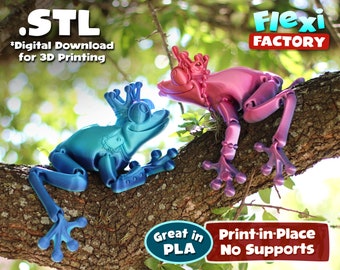 Flexi Print-in-Place Frog Prince and Princess - STL file for 3D Printing