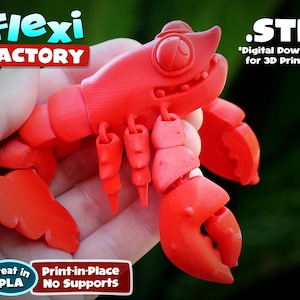 かわいい Flexi Factory プリントインプレイス ロブスター