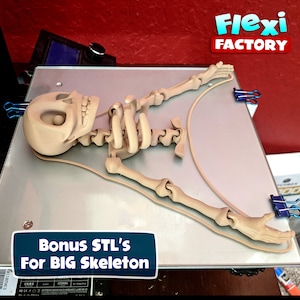 Cute Flexi actory Print-in-Place Skeleton STL for 3D Printing image 5