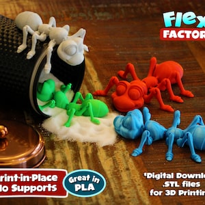 Cute Flexi Print-in-Place Ant - STL file for 3D Printing