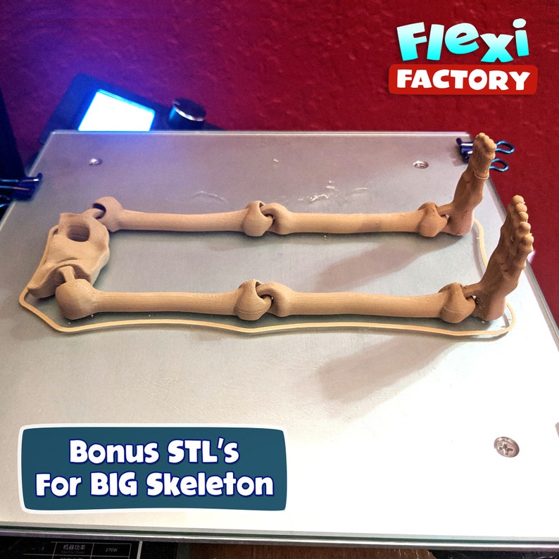Cute Flexi actory Print-in-Place Skeleton STL for 3D Printing image 6