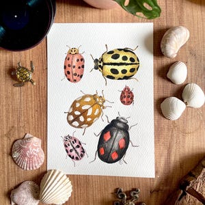 Vero cartone di coccinella acquerellata, versione originale fatta a mano, poster da parete con natura e insetti, regalo artigianale
