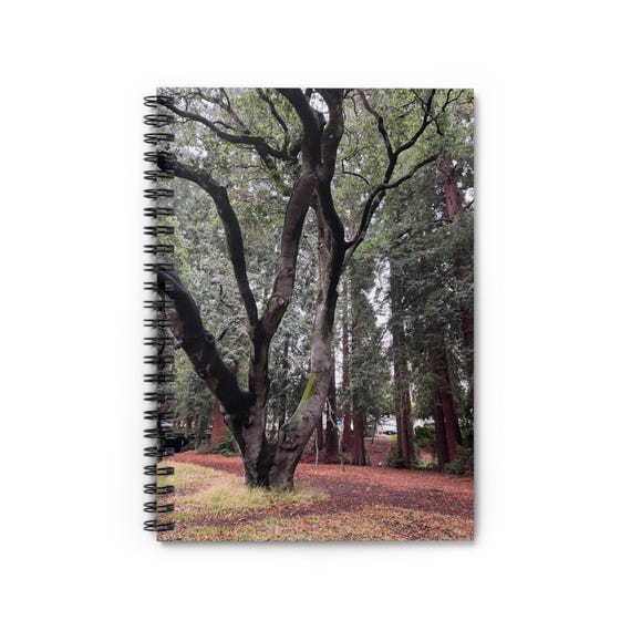 Nature-Inspired Spiral Notebook for Creatives, Eco-Friendly Journal, Forest Photography Notebook, Perfect for Gifts, Nature Lovers Diary
