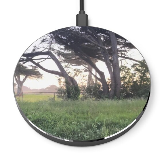 Nature-Inspired Wireless Charger, Eco-Friendly Charging Pad, Fast Charging Station, Perfect for Home or Office, Great Gift for Nature
