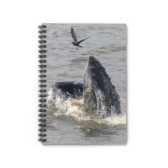 Whale Inspiration Spiral Notebook - Ruled Line, Journal for Nature Lovers, Wildlife Sketchbook, Ocean-Themed Gift, Travel Diary