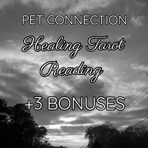 Understand you and your pet's connection
