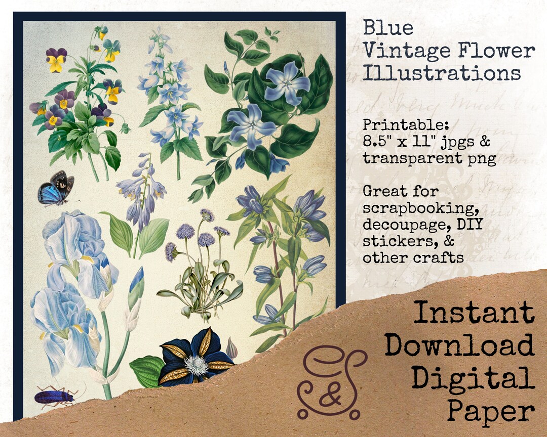 Vintage Blue Flowers, Faded Flowers Collage Sheet, Floral Digital Paper ...
