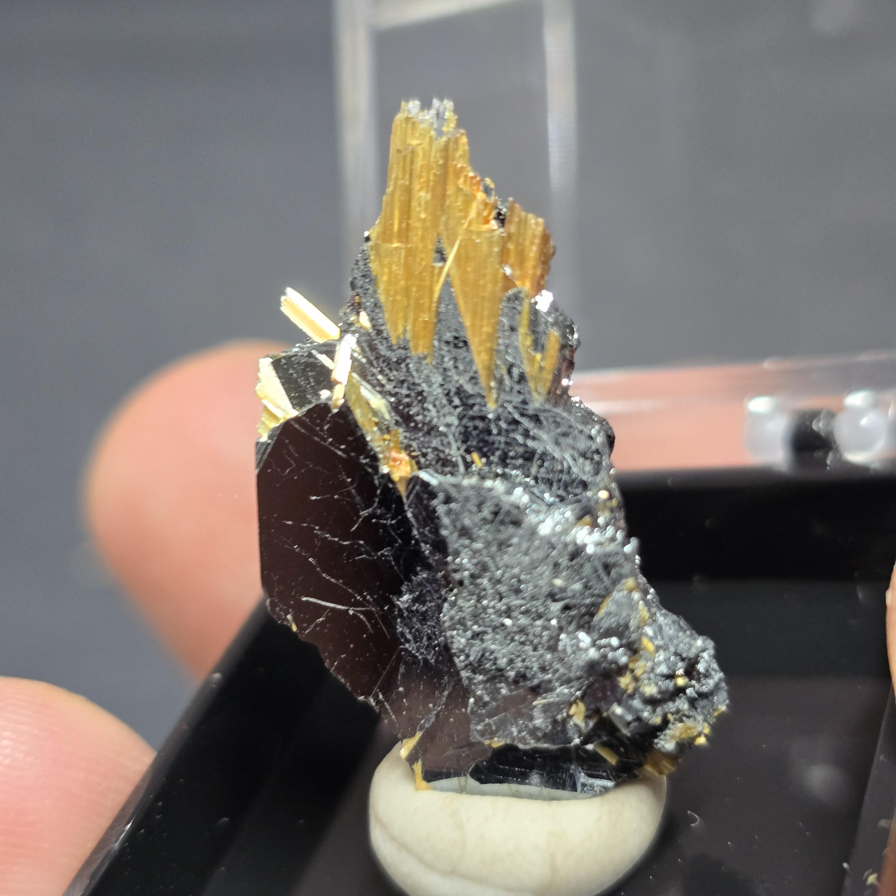 Rutile and Hematite | Rutile Points in Hematite Thumbnail Perky Box Display from Brazil. Sold and Shipped from the US!! See Video!