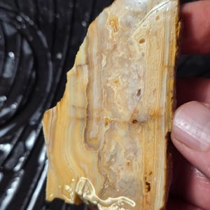 May include: A polished, irregularly shaped stone with a layered pattern of tan, cream, and brown hues. The stone's surface is smooth and reflective, with visible natural variations and textures. The edges are rough, revealing the stone's raw, unrefined form.