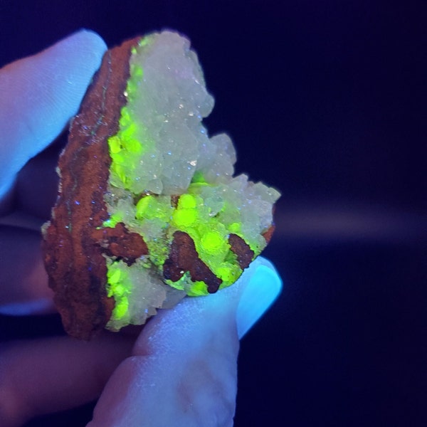 UV Reactive Adamite and Green Calcite in Limonite and Motrimite. Beautiful Ugly Rock, Mapimi, Mexico, US Seller and Free Shipping.