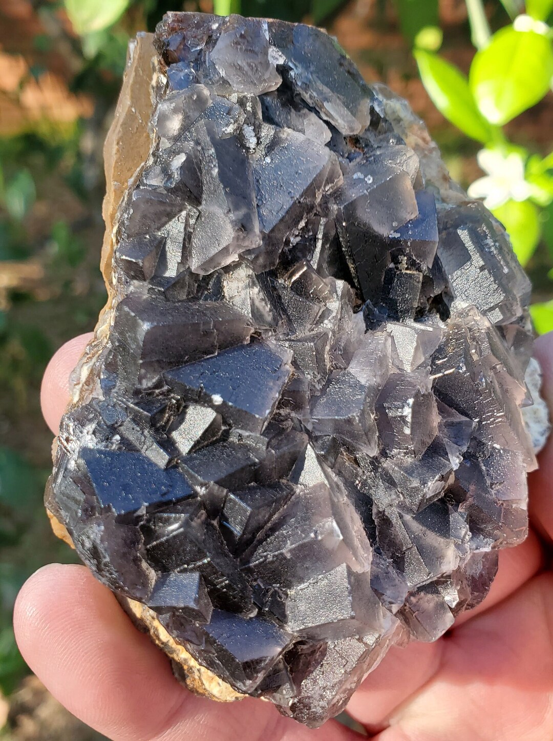 Fluorite - Black Rose Fluorite, Uv-reactive Chinese Fluorite With Stand ...