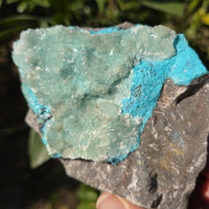 Shattuckite and Chrysocolla with quartz, Sonora, Mexico, Cabinet Collector Shattuckite quartz on druzy quartz, US Seller and Fast Shipping!!
