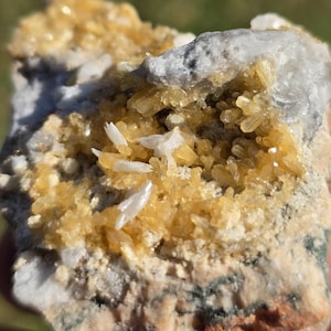 May include: Close-up of a mineral specimen featuring clusters of golden-yellow crystals and white, needle-like formations. The crystals are set against a backdrop of gray and beige rock, showcasing natural textures and colors.