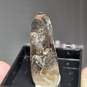 Gemmy Smoky Quartz with tourmaline in Perky Box. Dainty Smoky Quartz Point and  schorl from Malawi, South Africa US Seller!!