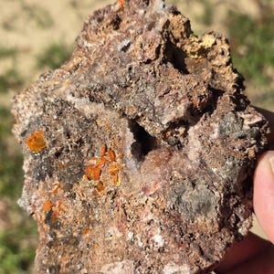 Wulfenite - Red Cloud Mine Wulfenite thumbnail in Perky Box Great Color!. Quartz over Wulfenite display piece. US Seller!! FAST Shipping!