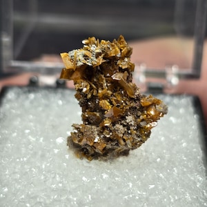 Wulfenite - Red Cloud Mine Wulfenite thumbnail in Perky Box Great Color!. Quartz over Wulfenite display piece. US Seller!! FAST Shipping!