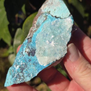 Shattuckite and Chrysocolla with quartz, Sonora, Mexico, Cabinet Collector Shattuckite quartz on druzy quartz, US Seller and Fast Shipping!!