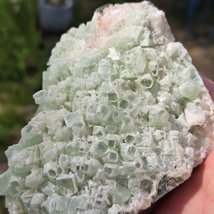 Green Apophyllite Crystals on Matrix: India Zeolite Cabinet Display