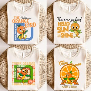 Niedliches Vogel-Themenpark-Urlaub PNG-Bundle, Familienurlaub 2025, Vintage-Vogel-Gartenfest, Florida-Tour 2025, magische Blüte