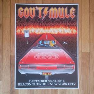 Gov't Mule 2014 New Years Eve NYC Poster