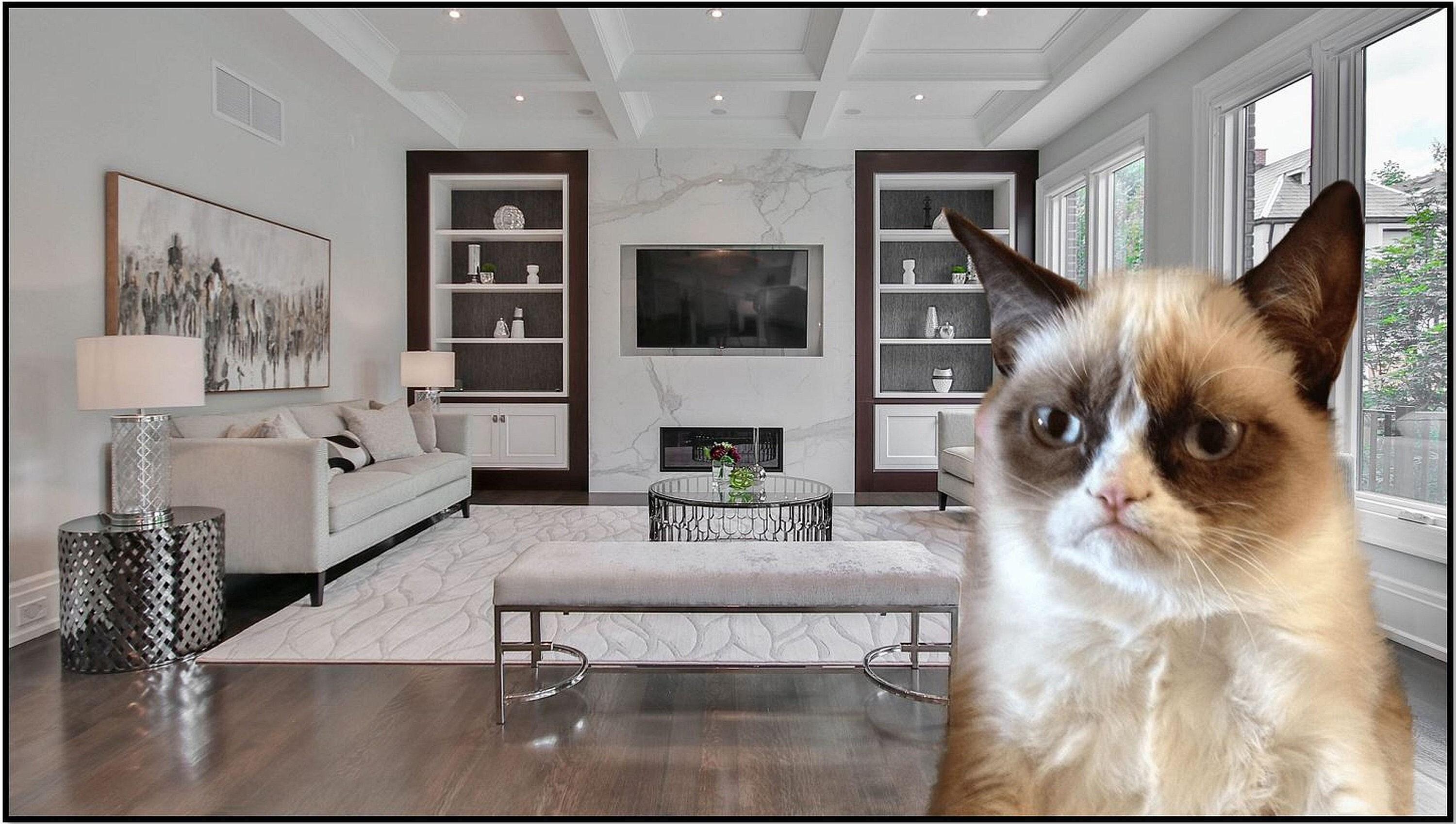 ZOOM VIRTUAL BACKGROUND Living Room for Online Meetings, Professional