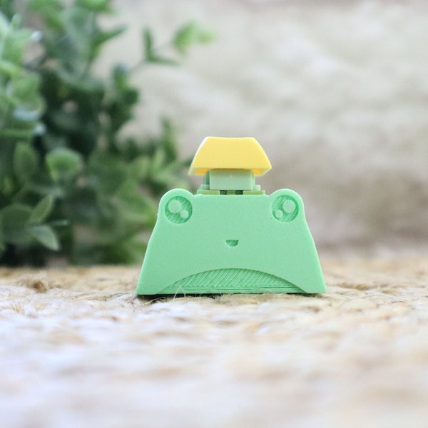 Frog Keyboard Etsy