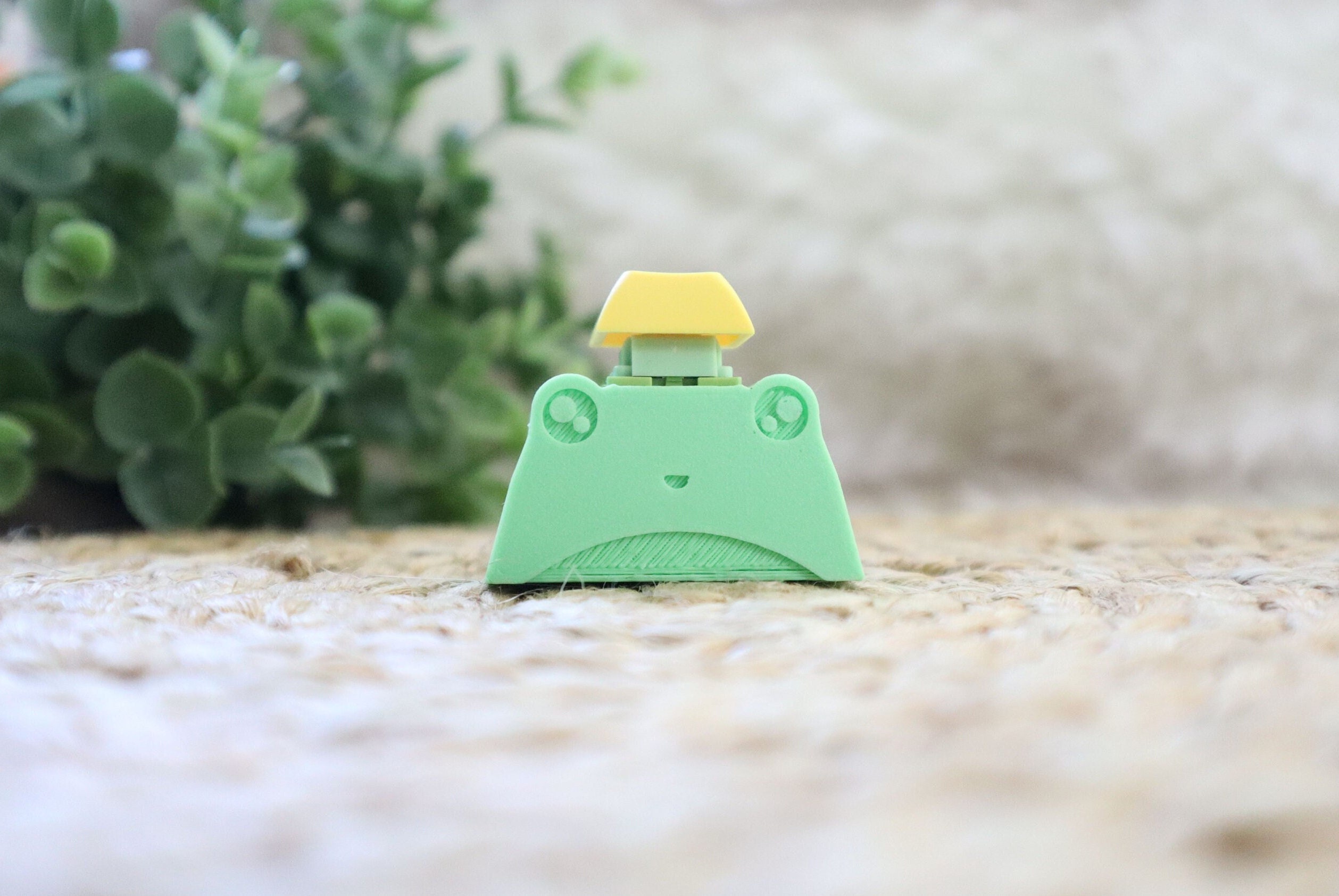 Adorable Fidget Frog Mechanical Key Fidget Cute Stress Etsy