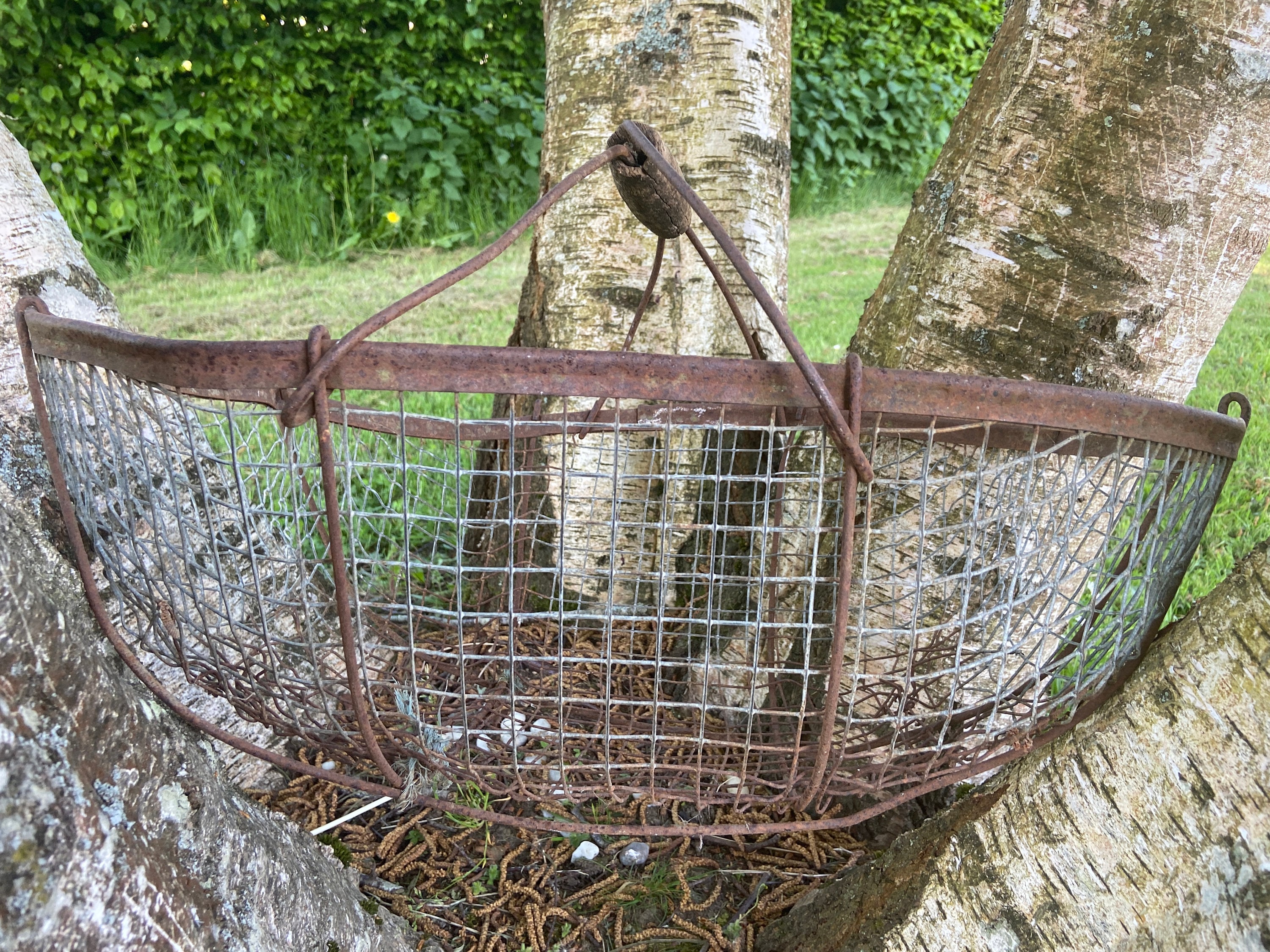 ANTIQUE Basket Chicken Wired Basket Handmade Vintage Basket Etsy