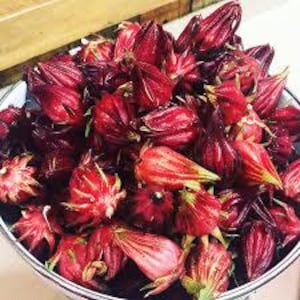 Rosella (Hibiscus sabdariffa) Seeds 15 organic and heirloom never buy more seeds again