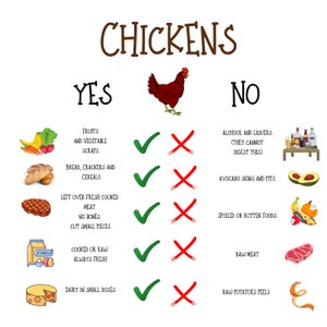 以下が含まれることがあります： 中央に赤いニワトリのイラストが描かれたチャートで、タイトルは「CHICKENS」です。チャートには、ニワトリが食べることができる食べ物と食べられない食べ物がリストされており、「YES」には緑色のチェックマーク、「NO」には赤いXマークが付けられています。