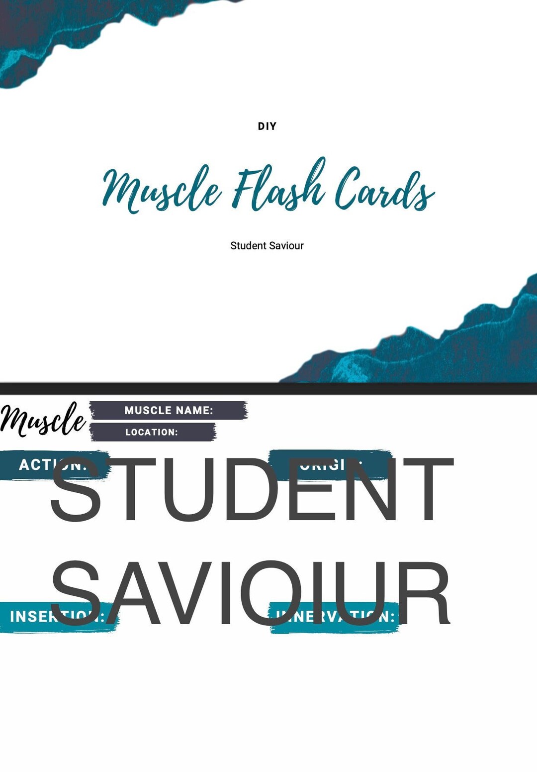 DIY Muscle Anatomy Flash Cards Etsy