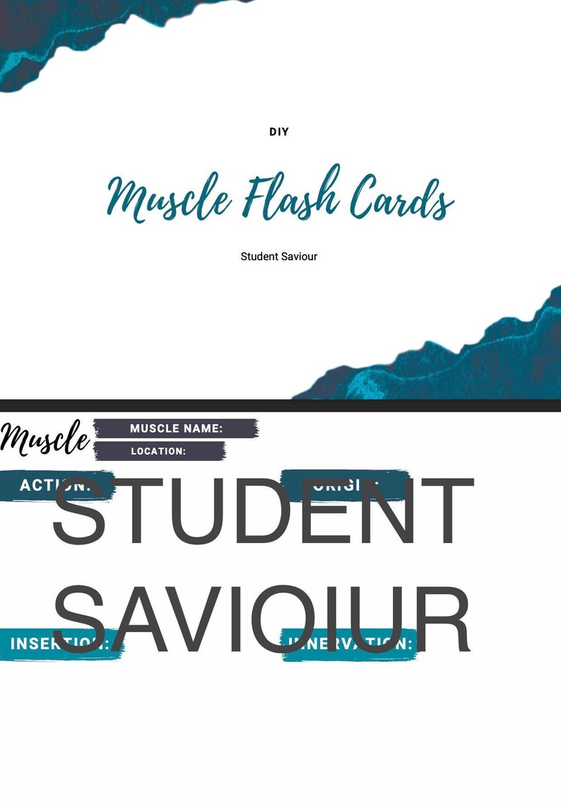 DIY Muscle Anatomy Flash Cards Etsy