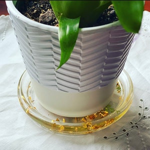 May include: A white ceramic planter with a textured design sits on a clear glass coaster with gold flakes. The planter is filled with soil and a green plant.