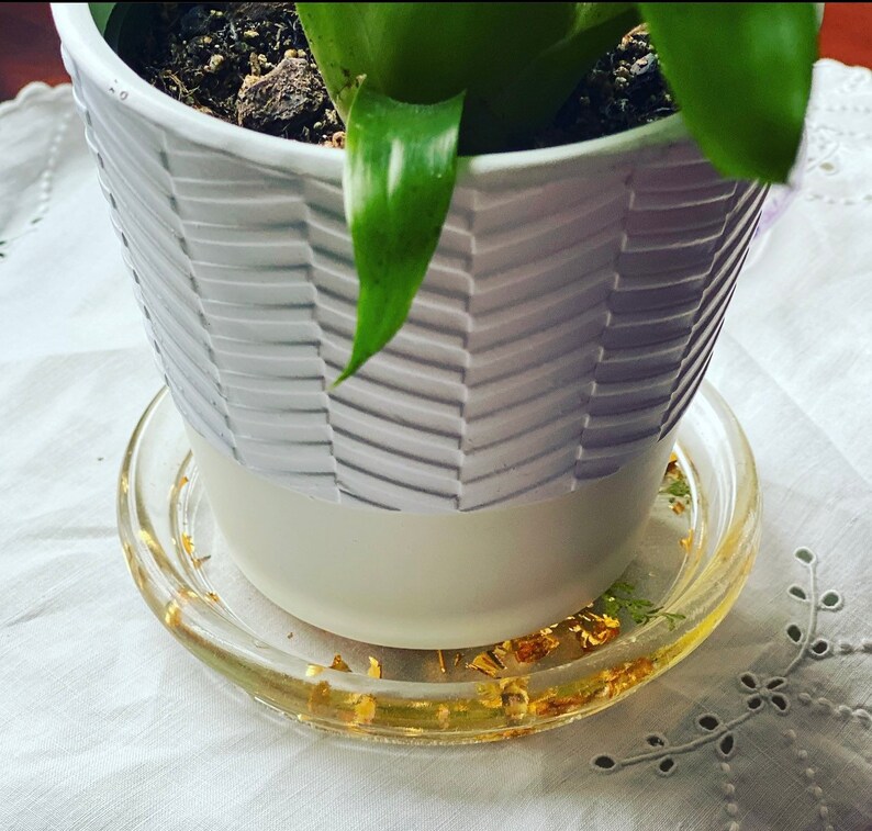 May include: A white ceramic planter with a textured design sits on a clear glass coaster with gold flakes. The planter is filled with soil and a green plant.
