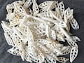 White Seashell Slices: Bohemian Craft Supplies, Nautical Decor product logo