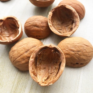 May include: A collection of six empty walnut shells, each with a unique shape and texture. The shells are light brown and have a natural, rustic appearance.