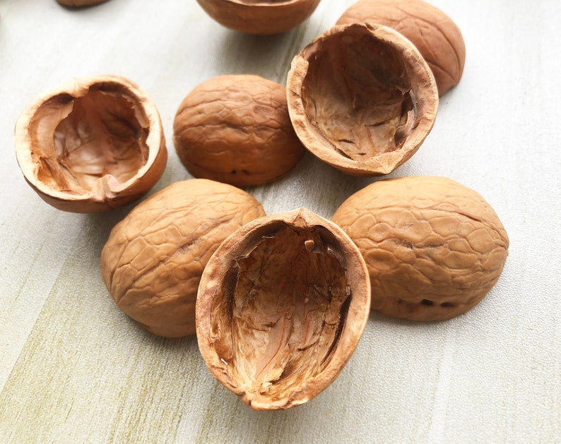 May include: A collection of six empty walnut shells, each with a unique shape and texture. The shells are light brown and have a natural, rustic appearance.