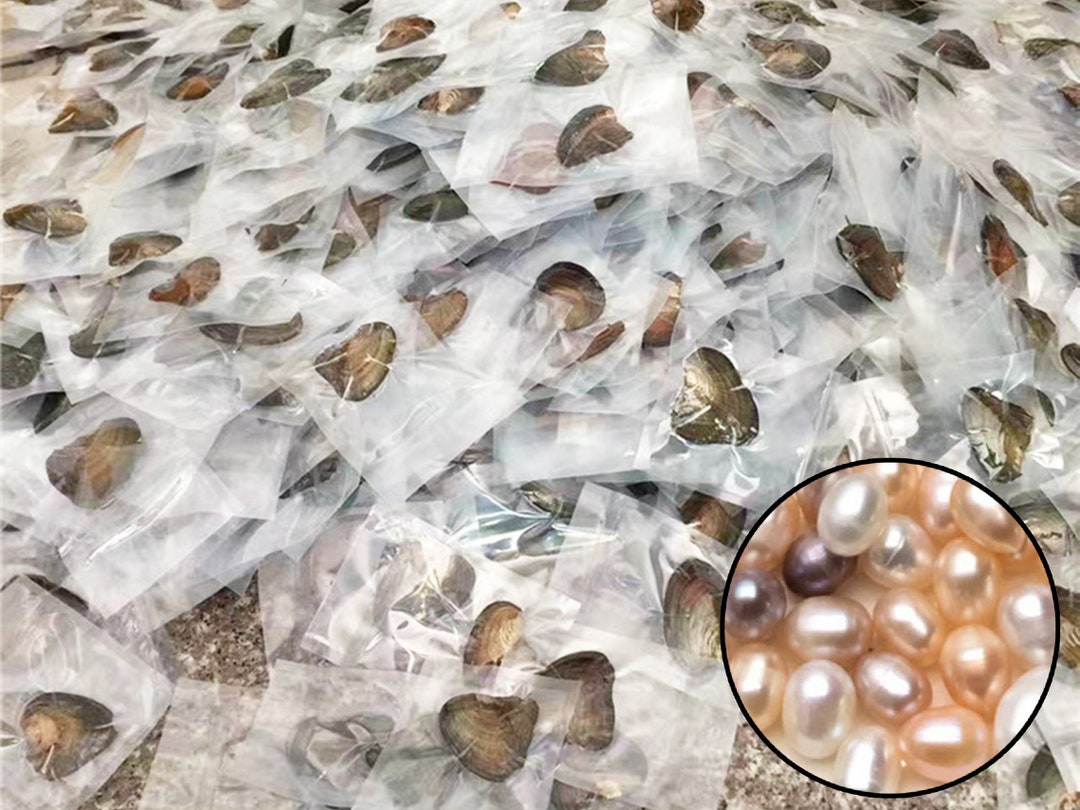 Wholesale Bulk Real Pearl Oysters With Natural Color Round Pearls.akoya