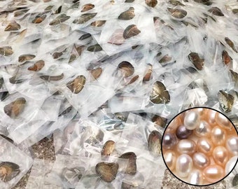 Wholesale Bulk Real Pearl Oysters with Natural Color Round Pearls.Akoya Oyster Pearl.Gemstones for Jewelry Making.
