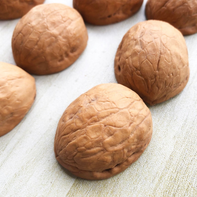 May include: Close-up of several brown walnut shells with a textured surface. The shells are arranged on a white surface.
