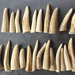 6-12 pcs Deer Antler Crafting.GRADE A for Jewelry Making, Leather Working, Native Crafts.Animal horns,Taxidermy knife handle