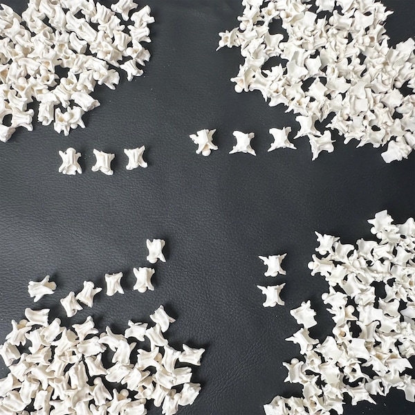 30-60 Real Snake Vertebrae bone with 4 style.  Snake Bone for Carft. Bone for Art Jewelry beads.  Bulk Snake Vertebrae. real animal bone