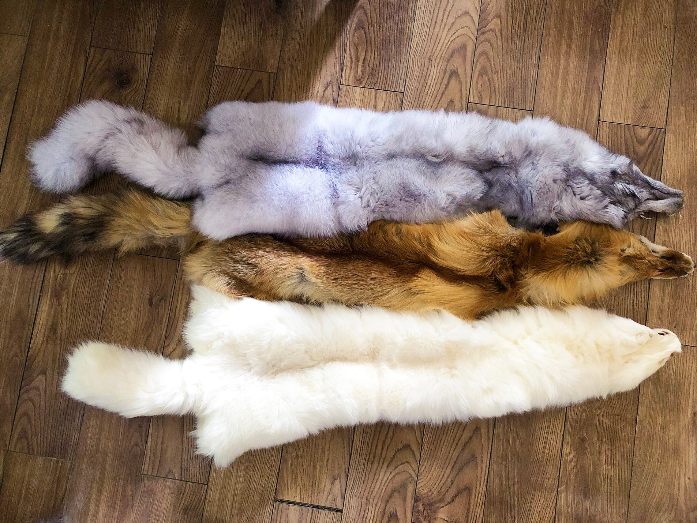 Fox Pelt - Etsy Fox Pelt - Etsy