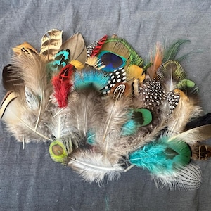 Sacchetto di piume miste 20-80. Piuma etica. Gioielli fai da te, artigiani, decorazioni per la casa, acchiappasogni. Collezione Pheasant & Peacock