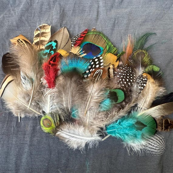 Mixed Feather Pack: Ethical Pheasant & Peacock Feathers for DIY
