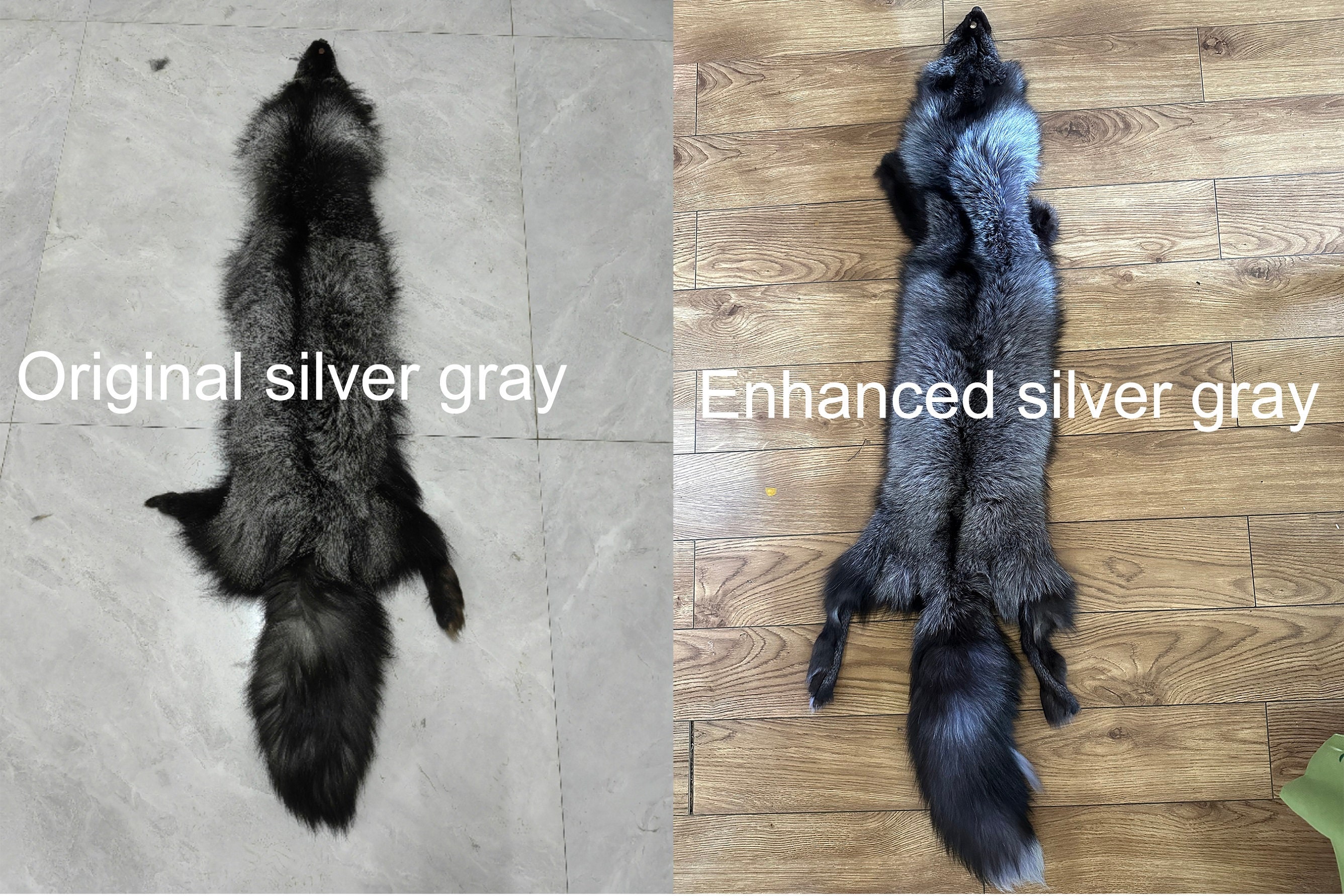 鞣し加工されたキツネの毛皮：本物の動物の毛皮（45～50インチ