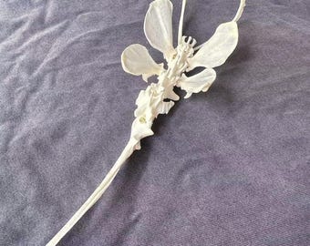 Real Bone Moth, Made from real animal bones.Cottagecore,Vulture culture,Voodoo craft.Gift for man.Gift for woman.Goth bone jewelry