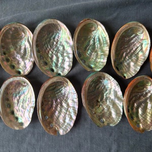 Wholesale(2-3