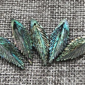 Puede incluir: Cinco colgantes en forma de hoja de nácar de abulón verde y azul iridiscente. Los colgantes tienen una superficie texturizada y un agujero en la parte superior para encordar.