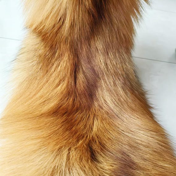 なめし加工された本物のキツネの毛皮、3色から選択可能、特大サイズ
